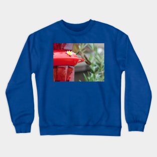 Refreshment Crewneck Sweatshirt